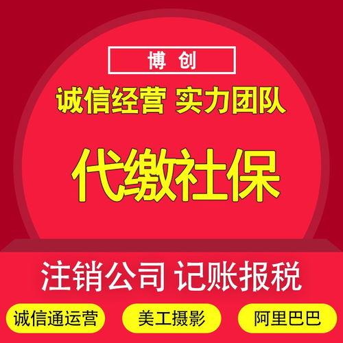 Shenzhen Agency Accounting and Tax Filing: Process, Costs, and Business Registration Services with Translation